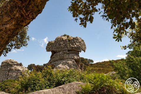 Natural monument of the Bullfighter´s hat, La Montera © Michelle Chaplow