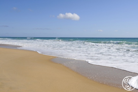 Just look at these idyllic golden sand beaches of El Palmar on the Costa de la Luz! © Michelle Chaplow