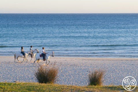 Horse Riding in Tarifa, Costa de la Luz. © Michelle Chaplow