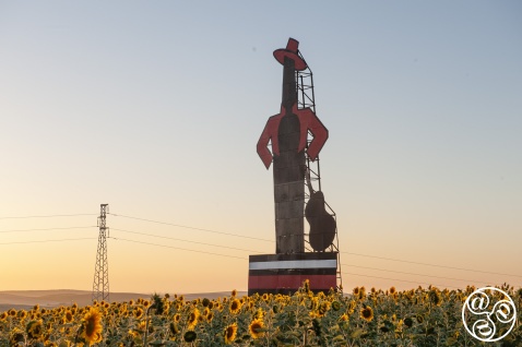 Driving through sunflowers en route to the Tio Pepe Festival Driving through sunflowers en route to the Tio Pepe Festival © Michelle Chaplow