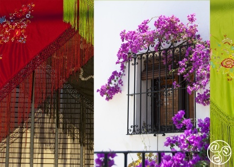 Strolling around the quaint streets of this white village can be a floral feast for the eyes © Michelle Chaplow