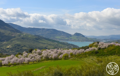 The picturesque village of Zahara de la Sierra © Michelle Chaplow