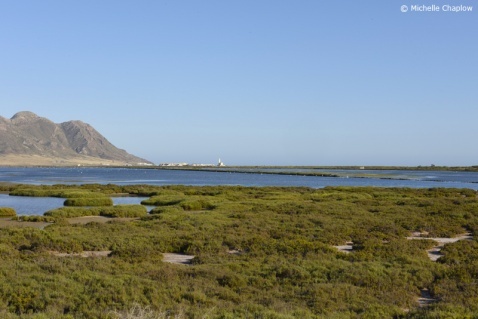 Salt marshes, Cabo de Gata, Almeria, Andalucia © Michelle Chaplow