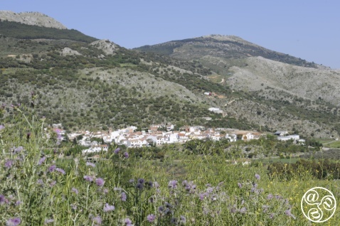 The village of Alfarnatejo in the province of Malaga  © Michelle Chaplow