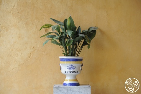 The Alcázar Réal (Royal Palace) of Seville is one of the city's most enchanting, and most popular, historic monuments. © Michelle Chaplow