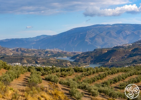 Olive groves, quaint white villages in the "comarca" of the Lecrin Valley. © Michelle Chaplow