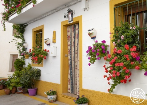 The quaint narrow streets of Albuñales © Michelle Chaplow