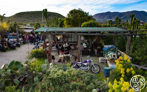Joe Strummer of the Clash called the bar his 'favourite place in the world' - he was a regular and celebrated his 50's and last birthday here (21-08-2002) © Michelle Chaplow