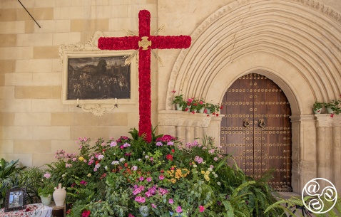 Cruces de Mayo in Cordoba © Michelle Chaplow 