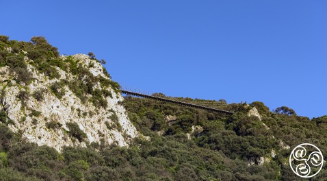 There is a very impressive skywalk within the upper rock, nature reserve © Michelle Chaplow