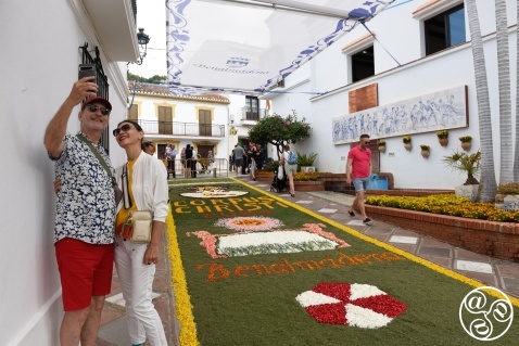 The carpets of petals are so attractive The carpets of petals are so attractive © Michelle Chaplow