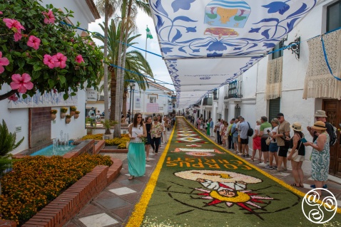 The carpets of flowers in the old part of the village of Benalmadena are an absolute work of art. © Michelle Chaplow