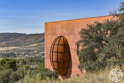 The olive - an icon of Andalucia. © Michelle Chaplow