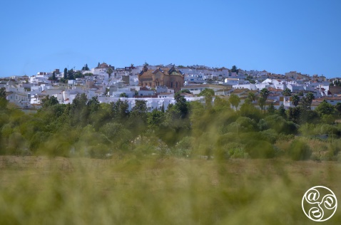 Sunlit charm of Benaulup’s white village, Cádiz © Michelle Chaplow