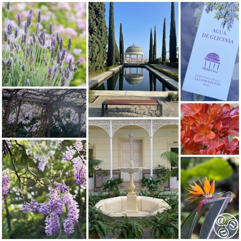 La Concepción Jardín Botánico-Historico de Málaga. The historic botanical gardens of Malaga La Concepción Jardín Botánico-Historico de Málaga. The historic botanical gardens of Malaga