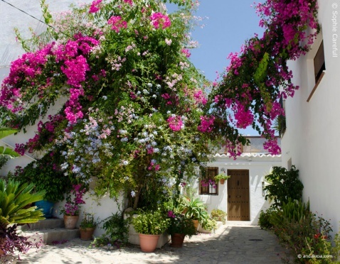 Bougainvillea in the beautiful town of Salobreña © Sophie Carefull