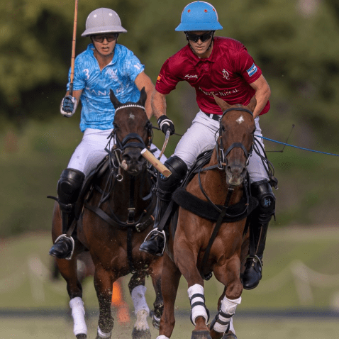 Lorenzo Chavanne & Louis Hine - AMANARA vs. LA DOLFINA HEREDEROS DEL MARQUÉS DE RISCAL by  Matias Callejo