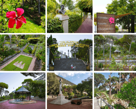 Alameda Botanical Gardens by VisitGibraltar.gi and Haylee Pincho Alameda Botanical Gardens by VisitGibraltar.gi and Haylee Pincho