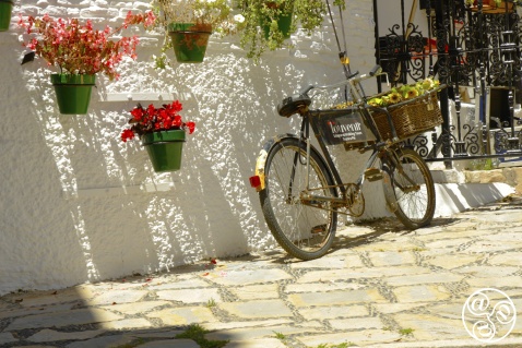 Excursions from Estepona © Gonzalo Alvarez