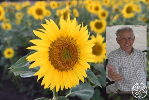 There's a warm welcome waiting in Andalucian inland villages. © Michelle Chaplow
