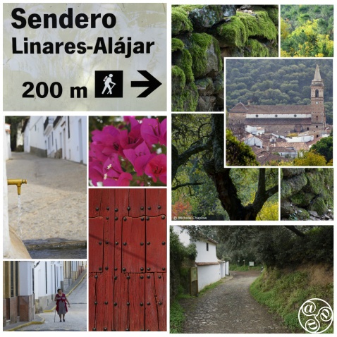 This is one of the loveliest walks in the Sierra de Aracena. © Michelle Chaplow