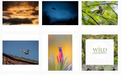 Lockdown photography inciative 