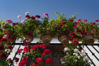 La Alpujarras © Michelle Chaplow