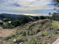 Monte Mayor