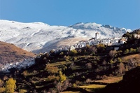 Las Alpujarras and Lanjaron Full-Day Tour from Granada