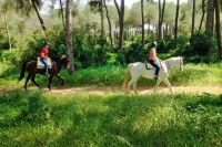 Horse-Riding Tour from Seville