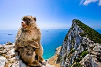 Gibraltar and Bolonia Private Full-Day Tour From Jerez