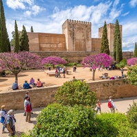 Alhambra and Nasrid Palaces: Guided Tour + Skip The Line