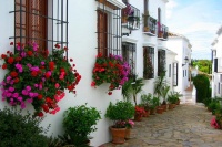 Marbella, Historical Centre & Tapas: Private Trip from Costa del Sol