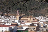 White Villages Day Trip from Cádiz