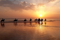 Cádiz Sunset Horseback Ride on the Beach