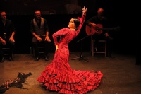 Flamenco and Guitar Show with Andalusian Cuisine in Seville