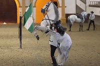 Jerez & Cadiz with Tio Pepe Winery and Horse Show from Seville