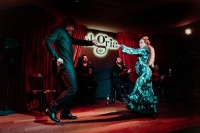 Flamenco Passion in Málaga: Show with Optional Tasting